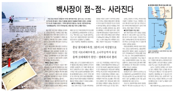 조선일보 2005. 6.29