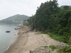 자연바닷가(암석해안)